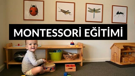 Montessori Eğitimi 